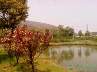 家園木屋別墅外景