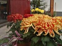 吾鄉(xiāng)山舍外環(huán)境5